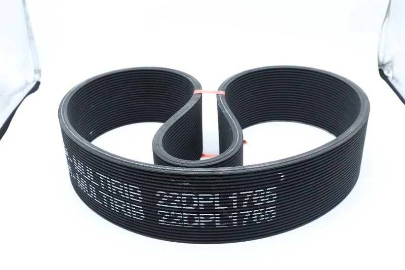 Poly-ribbed belt sample showing multiple longitudinal ribs